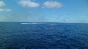 SAM_3065