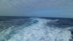 SAM_3087