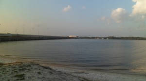 SAM_3880