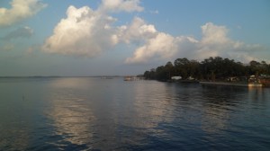SAM_3885
