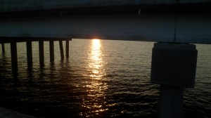 SAM_3888