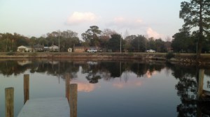 SAM_3891