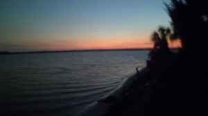 SAM_3892