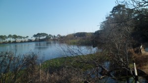 SAM_4075