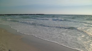 SAM_4094