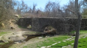 SAM_4339