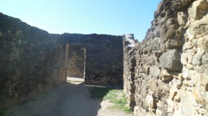 SAM_4373