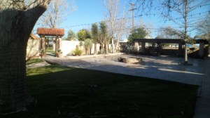 SAM_4392