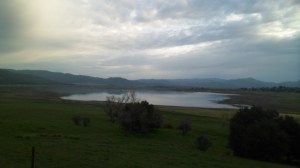 SAM_4548