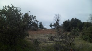 SAM_4572