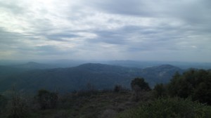 SAM_4577