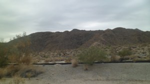 SAM_4579