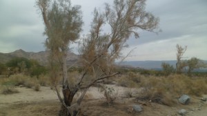 SAM_4584