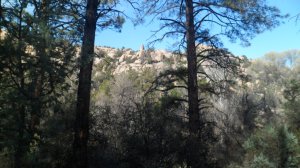 SAM_4594