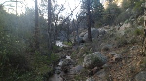 SAM_4599
