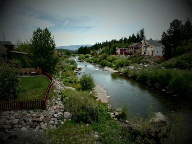 SAMSUNG CAMERA PICTURES