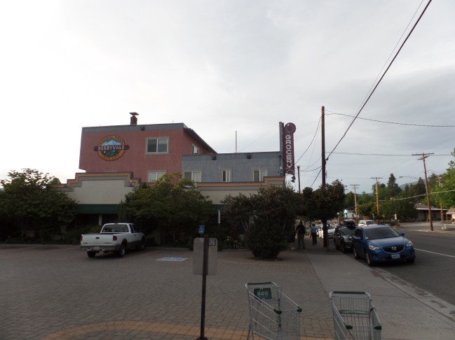 SAMSUNG CAMERA PICTURES