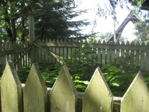 IMG_0758