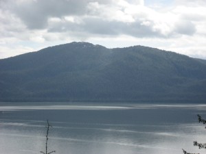 IMG_0805
