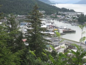 IMG_0807