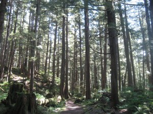 IMG_0817