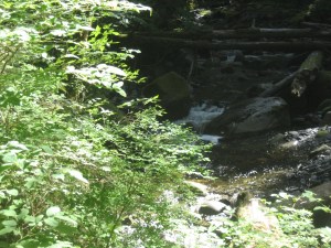 IMG_0823