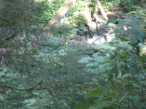IMG_0830