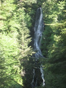 IMG_0837
