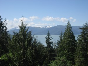 IMG_0838