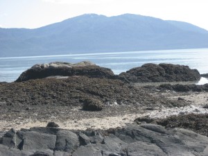 IMG_0871