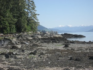 IMG_0872
