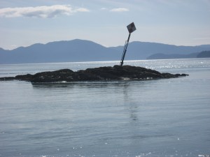 IMG_0875
