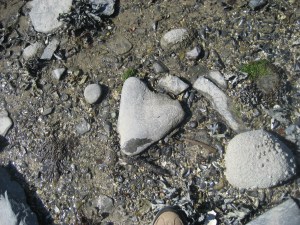 IMG_0876