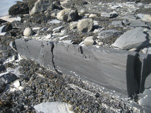 IMG_0882