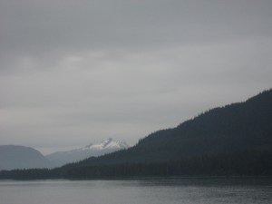 IMG_0894