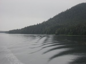 IMG_0914