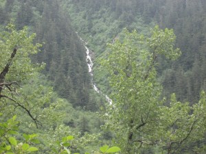 IMG_0993
