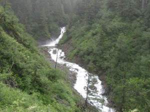 IMG_0998