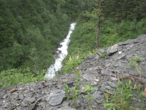 IMG_1002