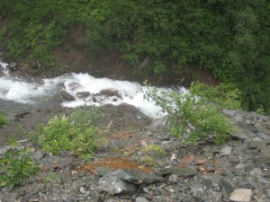IMG_1003
