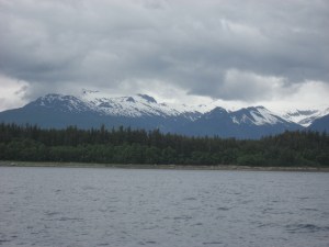IMG_1017