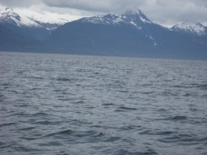 IMG_1021