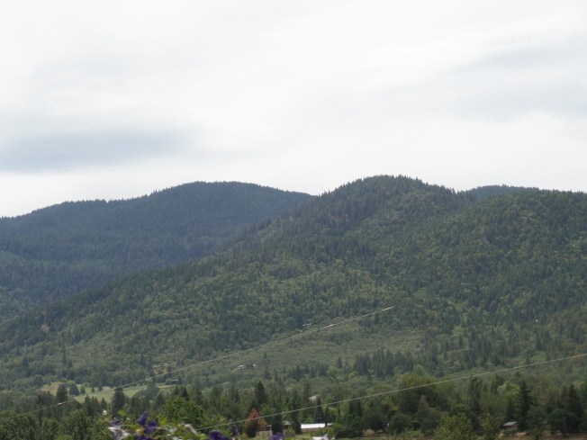 SAMSUNG CAMERA PICTURES