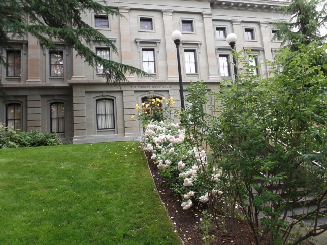 SAMSUNG CAMERA PICTURES