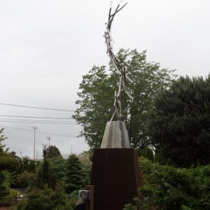 SAMSUNG CAMERA PICTURES