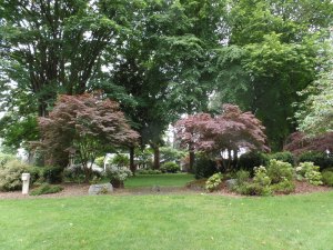 SAMSUNG CAMERA PICTURES