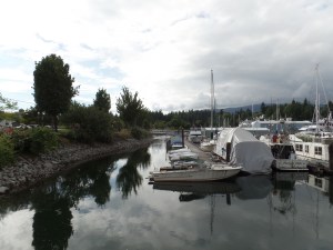 SAMSUNG CAMERA PICTURES