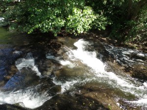 SAMSUNG CAMERA PICTURES