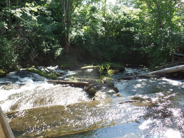 SAMSUNG CAMERA PICTURES