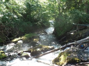 SAMSUNG CAMERA PICTURES